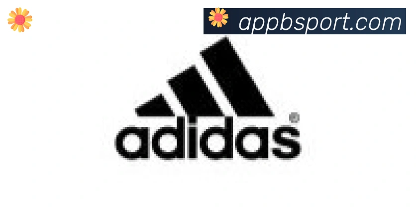 Bsports官网合作伙伴